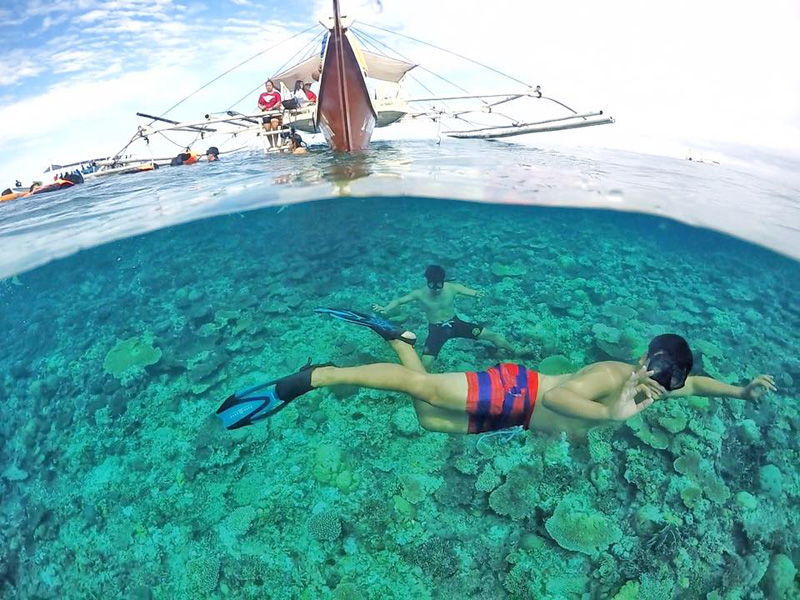 Apo Reef underwater