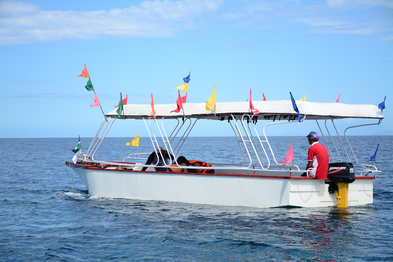 Glass Bottom Boat Tour at Pandan Reef Marine Sanctuary